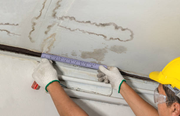 Affordable Water Damage Repair solutions in Robson, WV